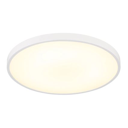 Globo - LED Stropní svítidlo LED/15W/230V 4000K pr. 23 cm bílá