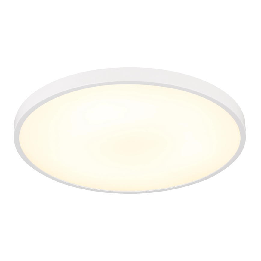 Globo - LED Stropní svítidlo LED/15W/230V 4000K pr. 23 cm bílá