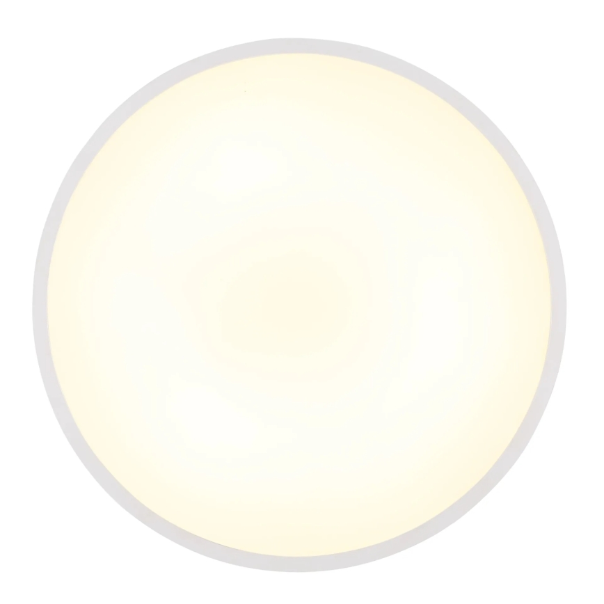 Globo - LED Stropní svítidlo LED/15W/230V 4000K pr. 23 cm bílá