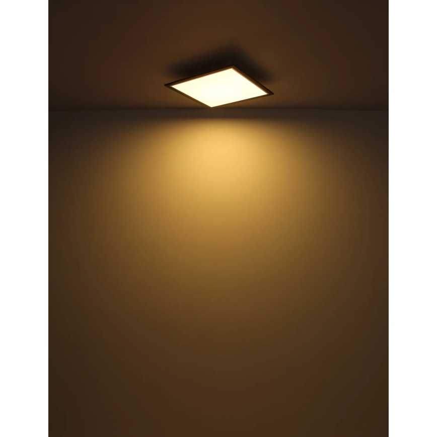 Globo - LED Stropní svítidlo LED/24W/230V