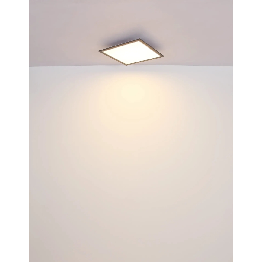Globo - LED Stropní svítidlo LED/24W/230V