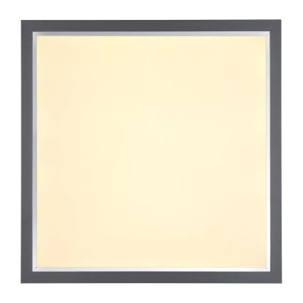 Globo - LED Stropní svítidlo LED/24W/230V