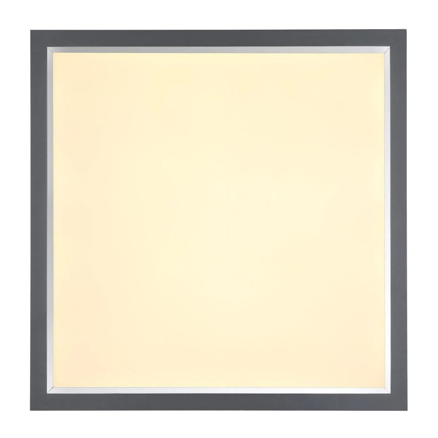 Globo - LED Stropní svítidlo LED/24W/230V