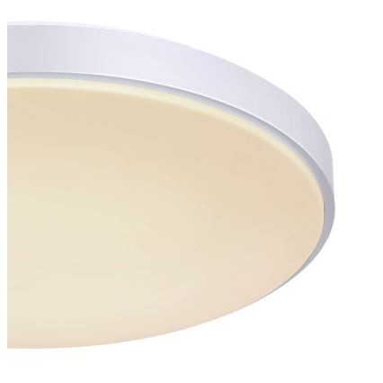 Globo - LED Stmívatelné stropní svítidlo LED/24W/230V + dálkové ovládání