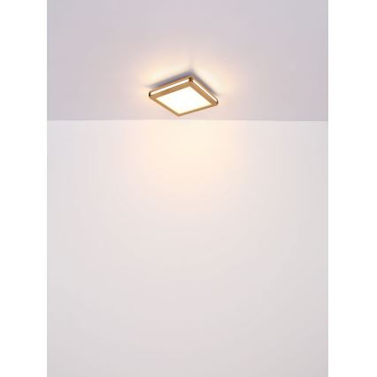 Globo - LED Stropní svítidlo LED/12W/230V 30x30 cm