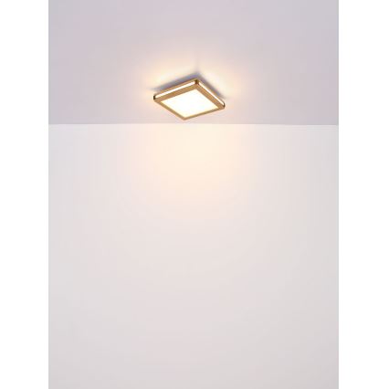 Globo - LED Stropní svítidlo LED/12W/230V 30x30 cm