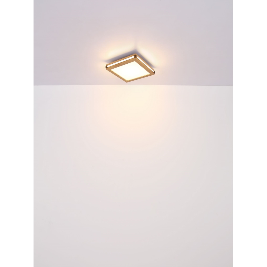 Globo - LED Stropní svítidlo LED/12W/230V 30x30 cm