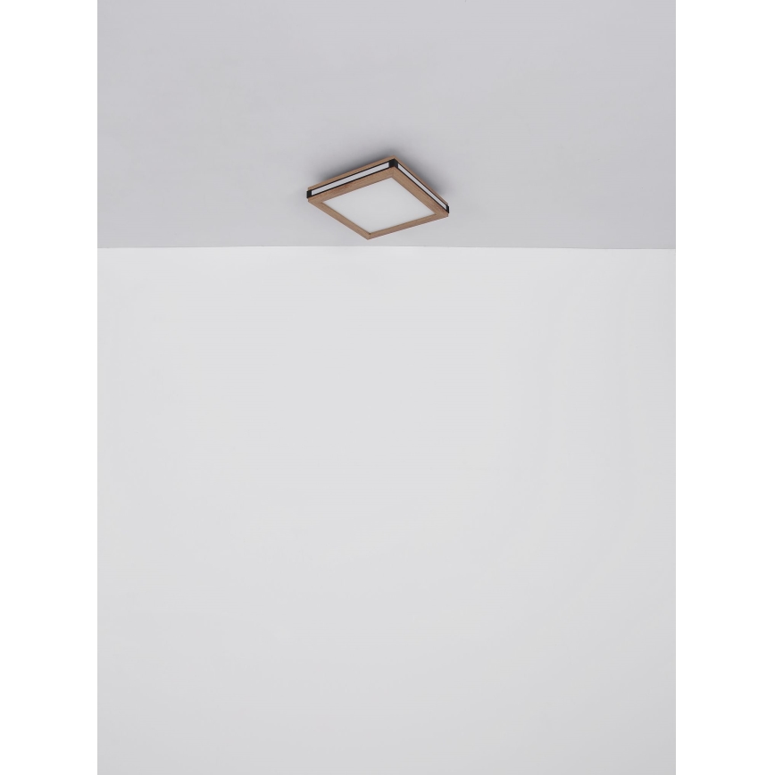 Globo - LED Stropní svítidlo LED/12W/230V 30x30 cm