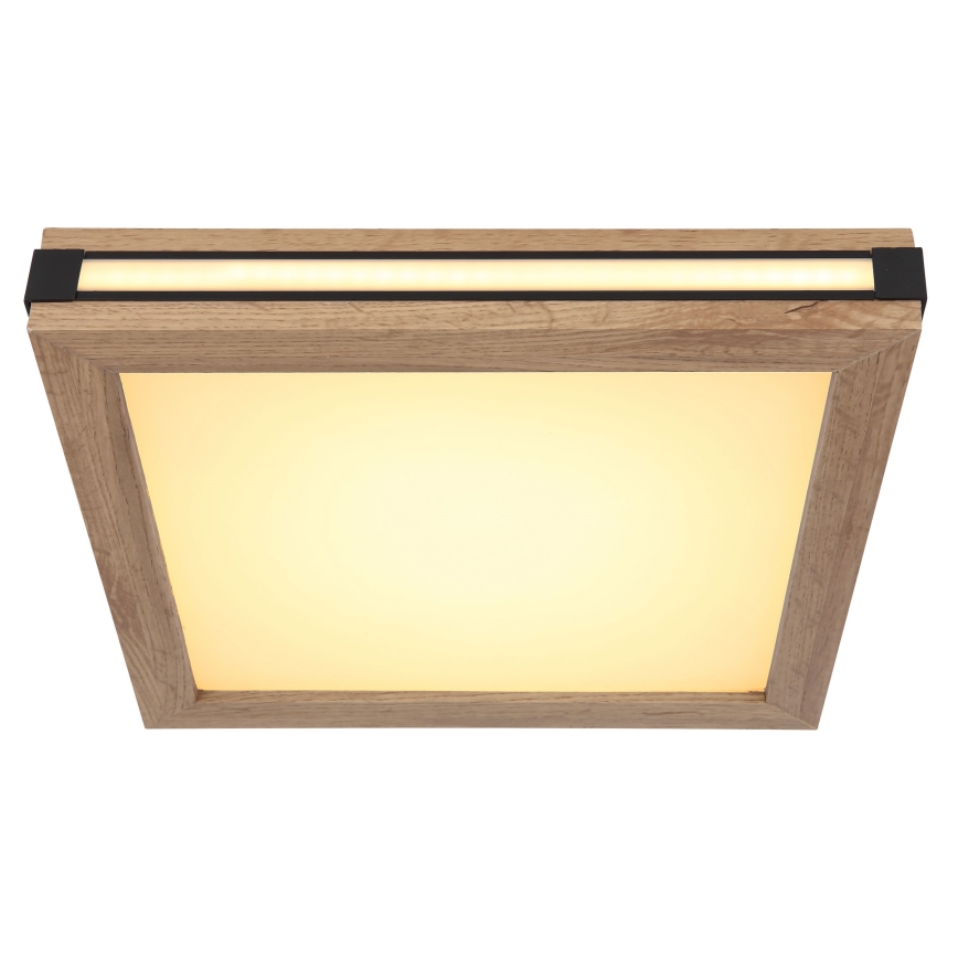 Globo - LED Stropní svítidlo LED/12W/230V 30x30 cm