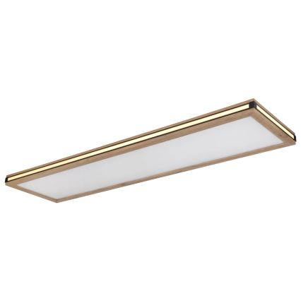 Globo - LED Stmívatelné stropní svítidlo LED/36W/230V 3000K 30x120 cm