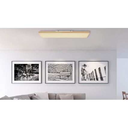 Globo - LED Stmívatelné stropní svítidlo LED/24W/230V 2700-6500K zlatá + dálkové ovládání