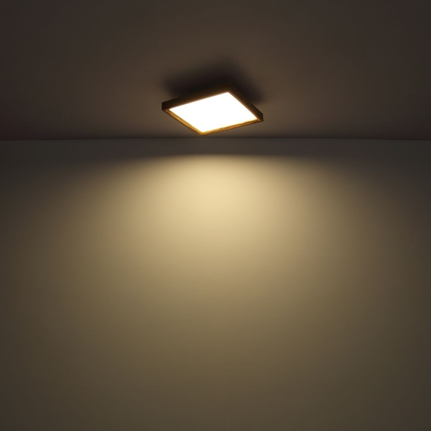 Globo - LED Stropní svítidlo LED/12W/230V 2700/4500/6500K 30x30 cm