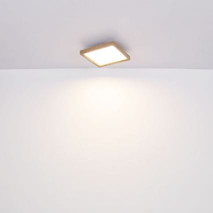 Globo - LED Stropní svítidlo LED/12W/230V 2700/4500/6500K 30x30 cm