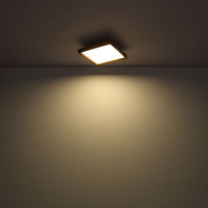 Globo - LED Stropní svítidlo LED/36W/230V 2700/4500/6500K 60x60 cm