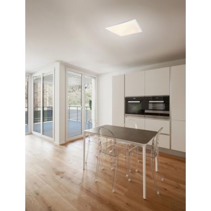 Globo - LED Stmívatelné stropní svítidlo LED/40W/230V + DO
