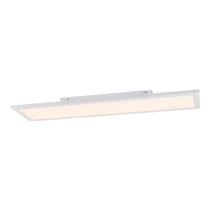Globo - LED Stmívatelné stropní svítidlo LED/40W/230V + DO