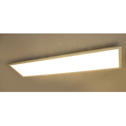 Globo - LED Stmívatelné stropní svítidlo LED/40W/230V