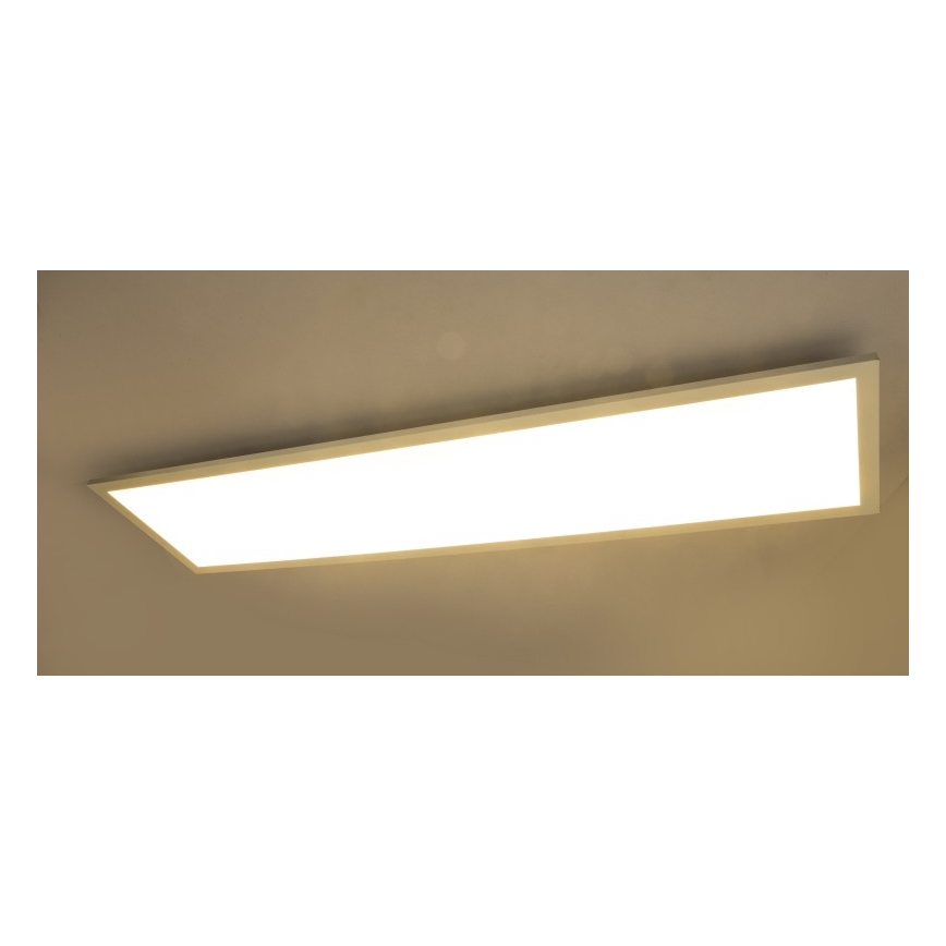 Globo - LED Stmívatelné stropní svítidlo LED/40W/230V