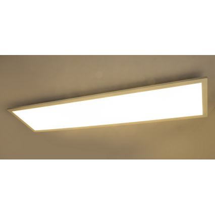 Globo - LED Přisazený panel LED/40W/230V