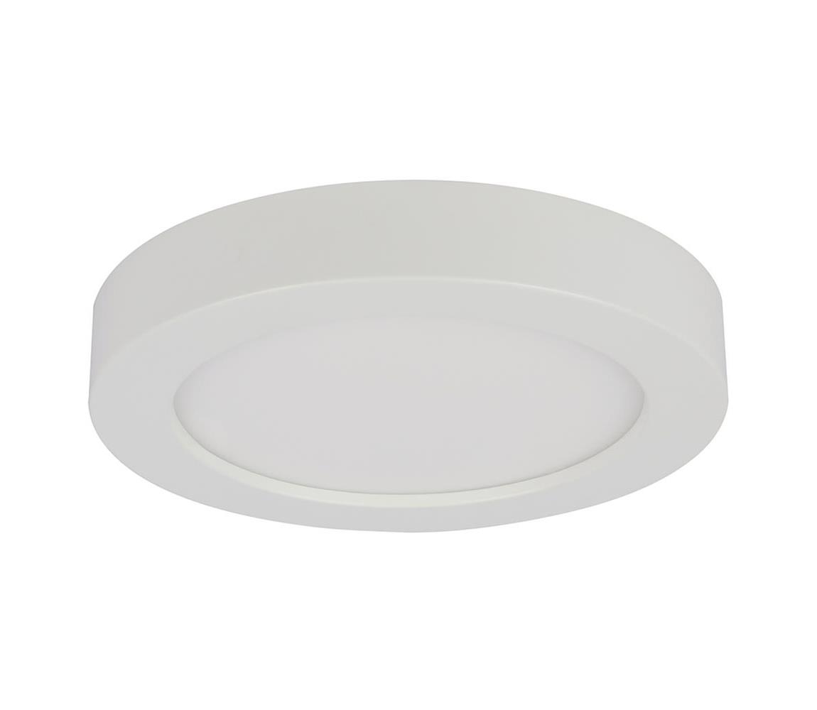 Globo GLOBO 41605-12 - LED Koupelnové stropní svítidlo PAULA 1xLED/12W/230V GL4843