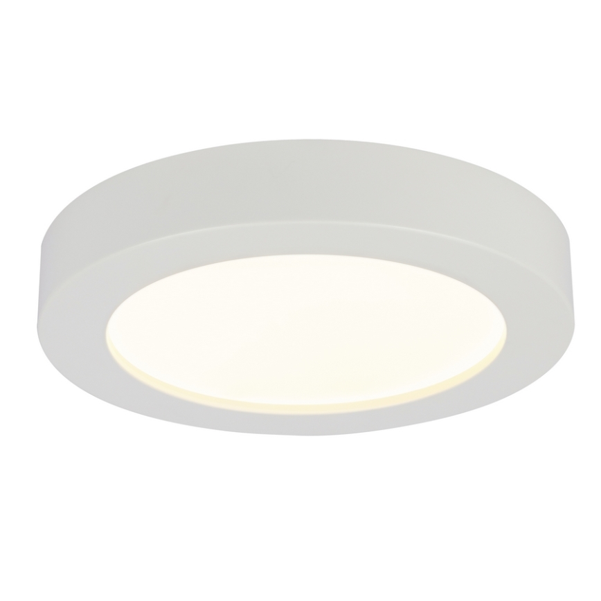 Globo - LED Koupelnové stropní svítidlo 1xLED/12W/230V