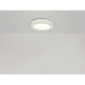 Globo - LED Koupelnové stropní svítidlo 1xLED/12W/230V
