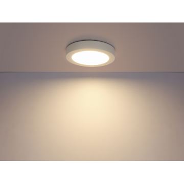 Globo - LED Koupelnové stropní svítidlo 1xLED/12W/230V