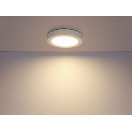 Globo - LED Koupelnové stropní svítidlo 1xLED/12W/230V