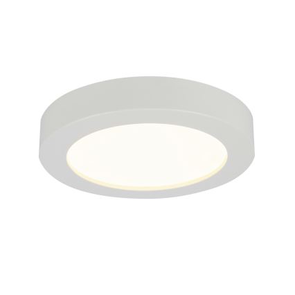 Globo - LED Koupelnové stropní svítidlo 1xLED/18W/230V IP44