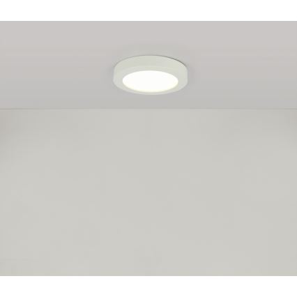 Globo - LED Koupelnové stropní svítidlo 1xLED/18W/230V IP44