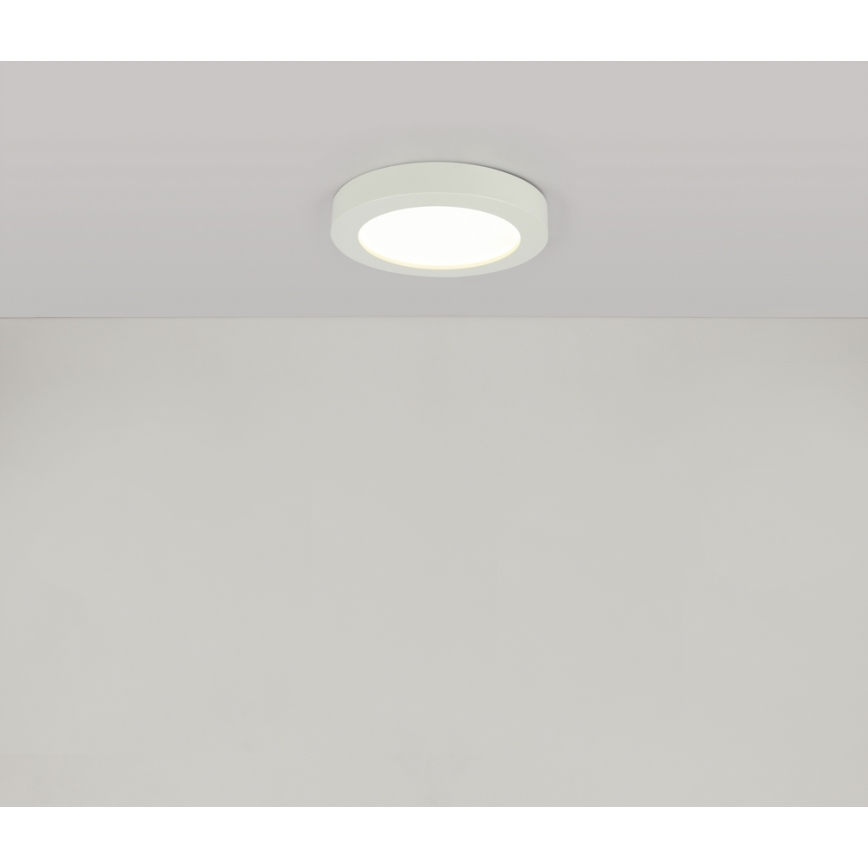 GLOBO 41605-18 - LED Koupelnové stropní svítidlo PAULA 1xLED/18W/230V IP44
