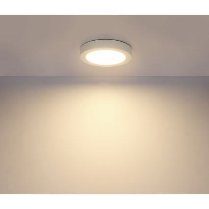 GLOBO 41605-18 - LED Koupelnové stropní svítidlo PAULA 1xLED/18W/230V IP44