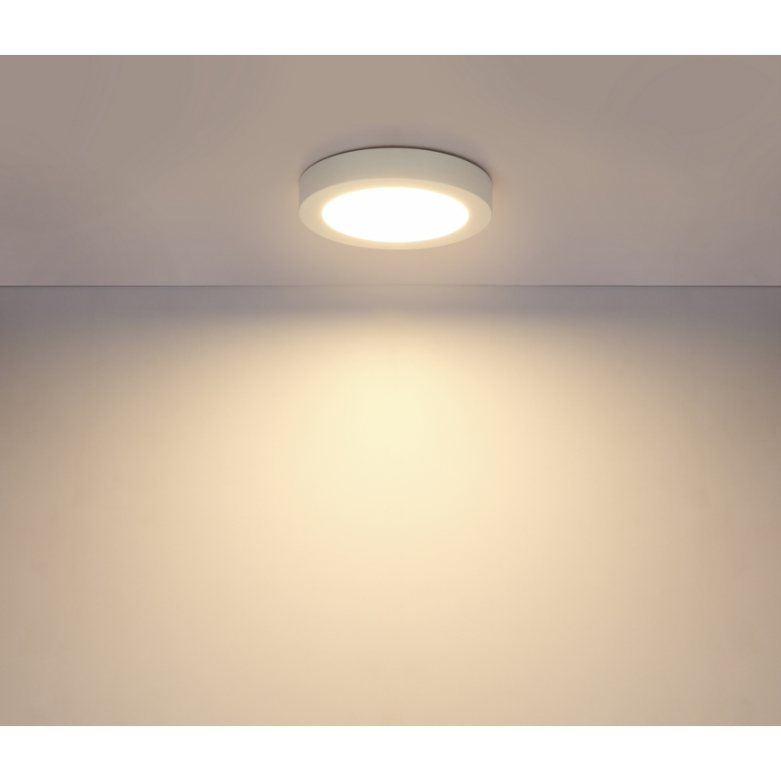 GLOBO 41605-18 - LED Koupelnové stropní svítidlo PAULA 1xLED/18W/230V IP44