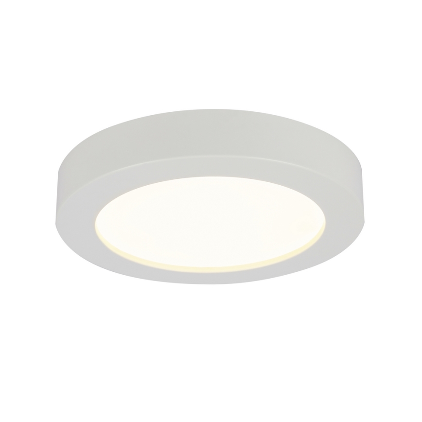 GLOBO 41605-18 - LED Koupelnové stropní svítidlo PAULA 1xLED/18W/230V IP44
