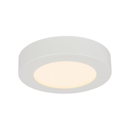 GLOBO 41605-20D - LED Stmívatelné koupelnové svítidlo PAULA 1xLED/18W/230V IP44