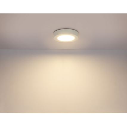 GLOBO 41605-20D - LED Stmívatelné koupelnové svítidlo PAULA 1xLED/18W/230V IP44