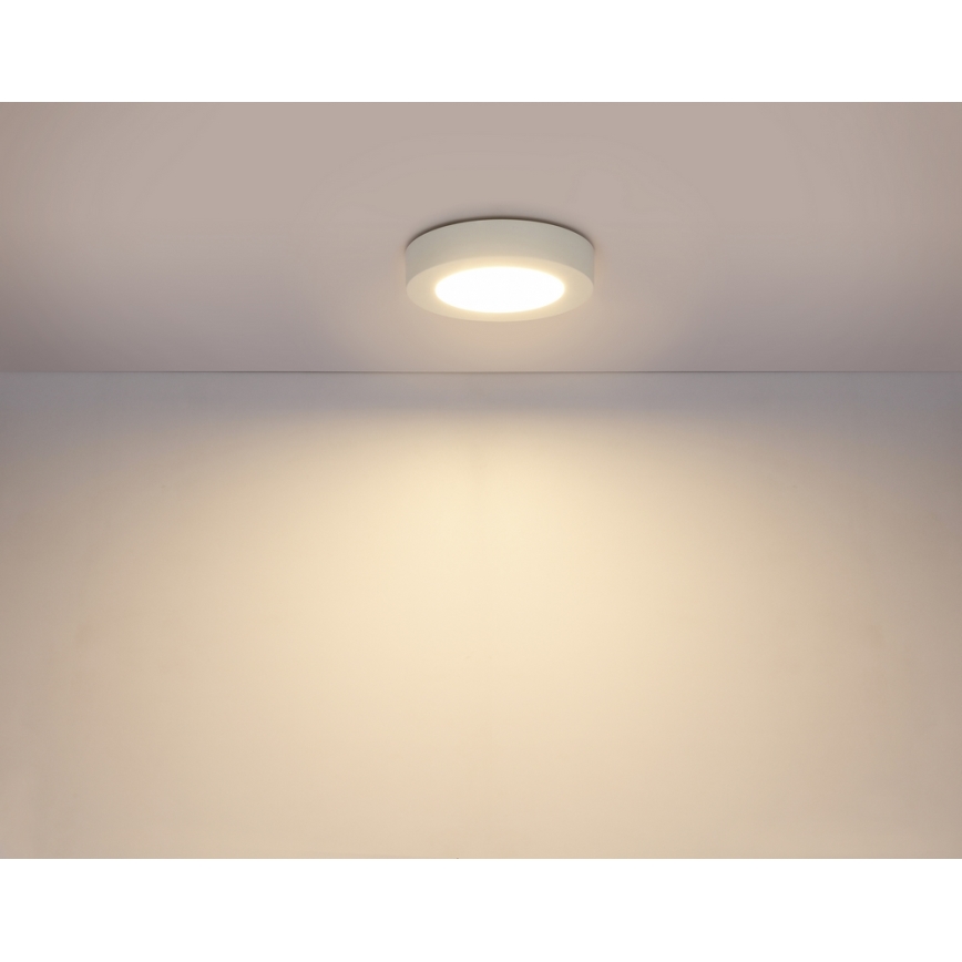 GLOBO 41605-20D - LED Stmívatelné koupelnové svítidlo PAULA 1xLED/18W/230V IP44