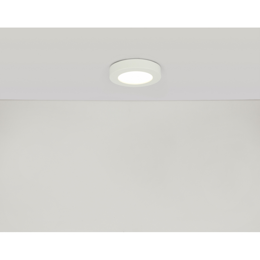 GLOBO 41605-20D - LED Stmívatelné koupelnové svítidlo PAULA 1xLED/18W/230V IP44