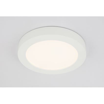 Globo - LED Koupelnové stropní svítidlo 1xLED/22W/230V IP44