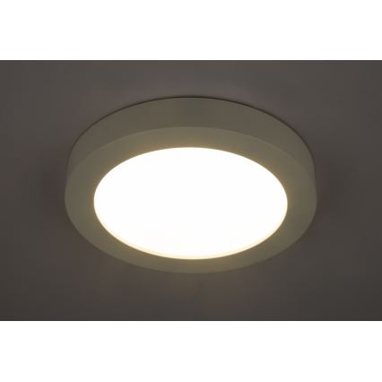 Globo - LED Koupelnové stropní svítidlo 1xLED/22W/230V IP44