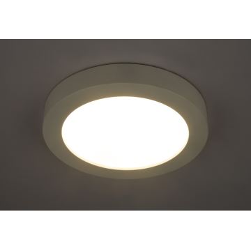 GLOBO 41605-24D - LED Stmívatelné koupelnové svítidlo PAULA 1xLED/24W/230V IP44