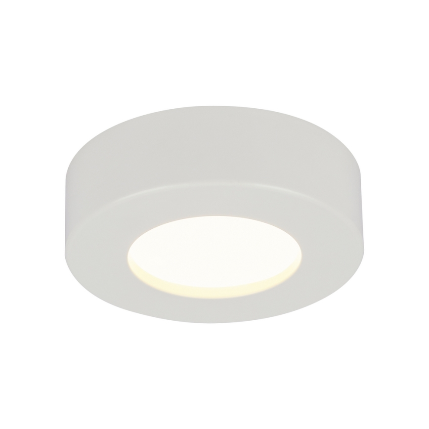 Globo - LED Stmívatelné koupelnové svítidlo 1xLED/9W/230V IP44