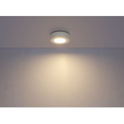 Globo - LED Stmívatelné koupelnové svítidlo 1xLED/9W/230V IP44
