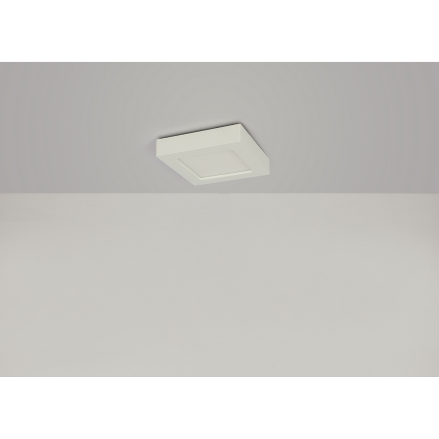 Globo - LED Stropní svítidlo SVENJA 1xLED/18W/230V