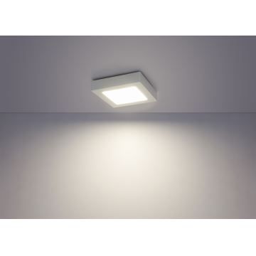 Globo - LED Stropní svítidlo SVENJA 1xLED/18W/230V