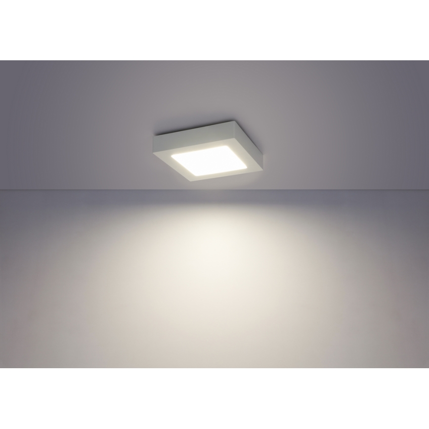 Globo - LED Stropní svítidlo SVENJA 1xLED/18W/230V