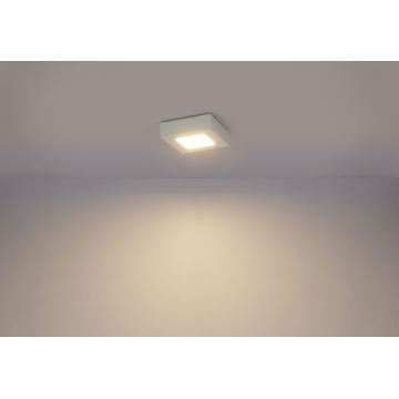 GLOBO - LED Stropní svítidlo LED/6W/230V