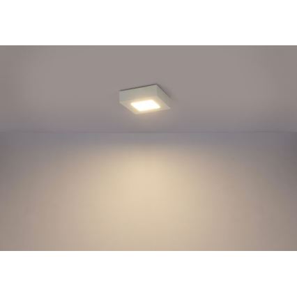 GLOBO - LED Stropní svítidlo LED/6W/230V