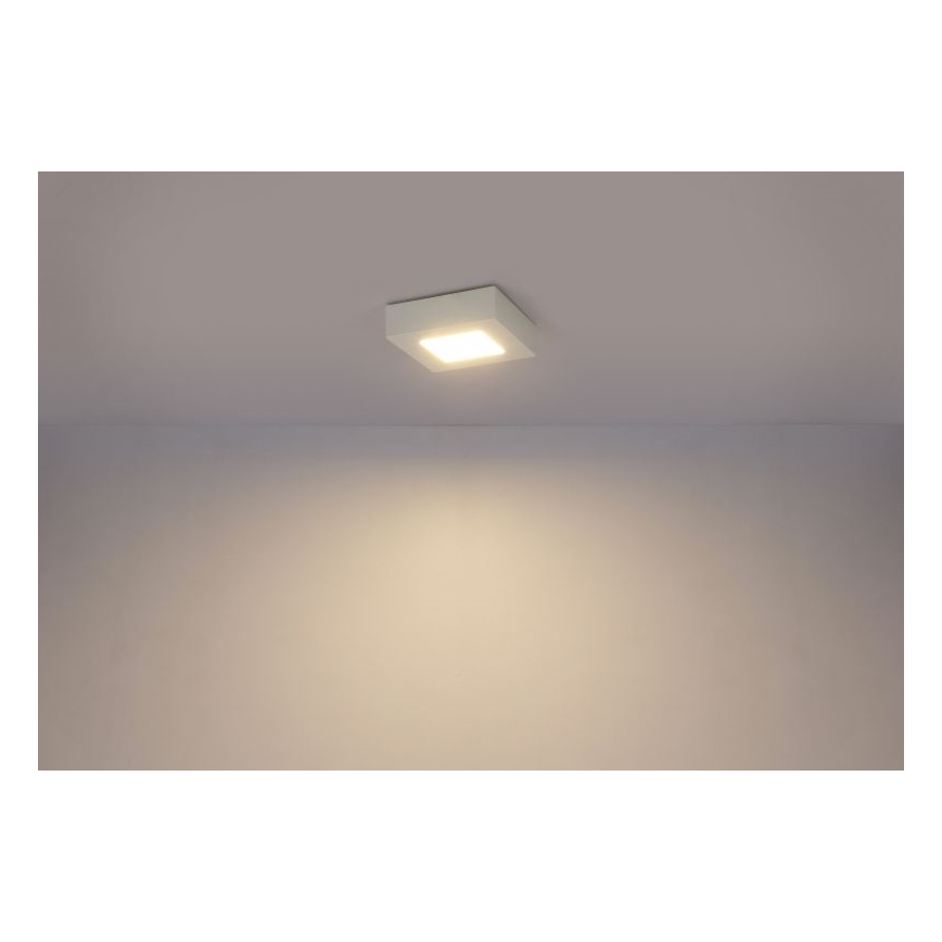 GLOBO - LED Stropní svítidlo LED/6W/230V