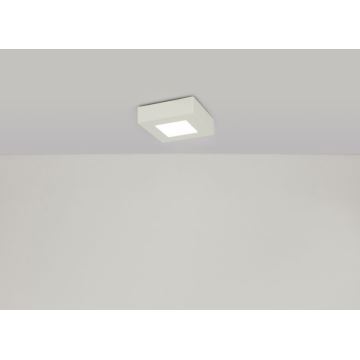 GLOBO - LED Stropní svítidlo LED/6W/230V